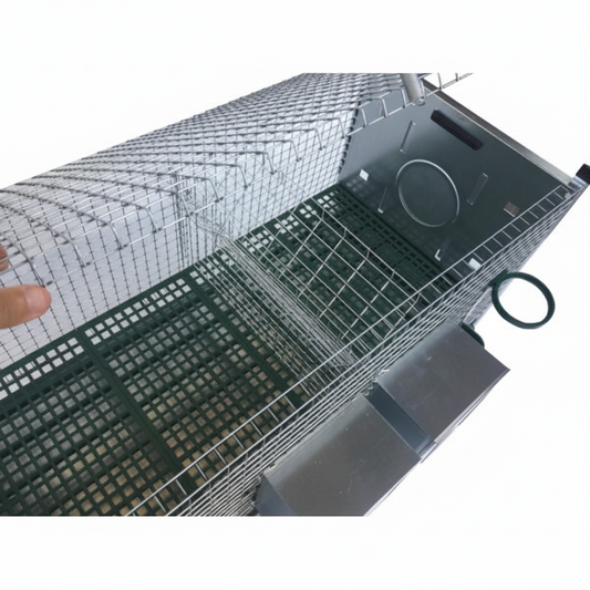 Amalfi Ingrasso - Immagine 5