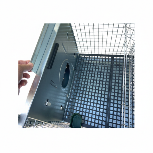 Azael Extra - Immagine 3