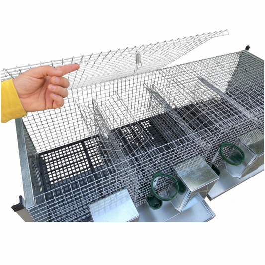 Azael Extra - Immagine 4