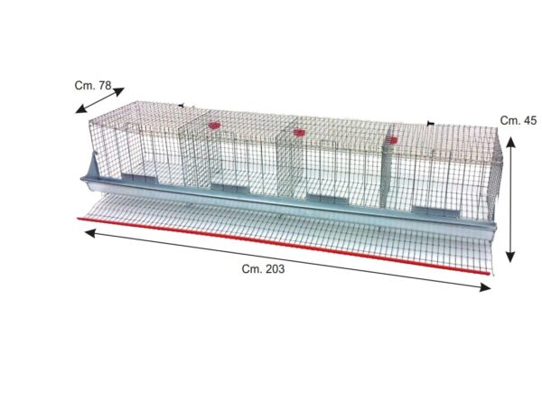 Gabbia Cesto Per Galline Ovaiole 4 scatole