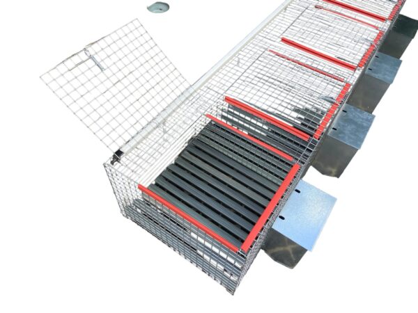 Gabbia Cesto 4 Posti Per Conigli