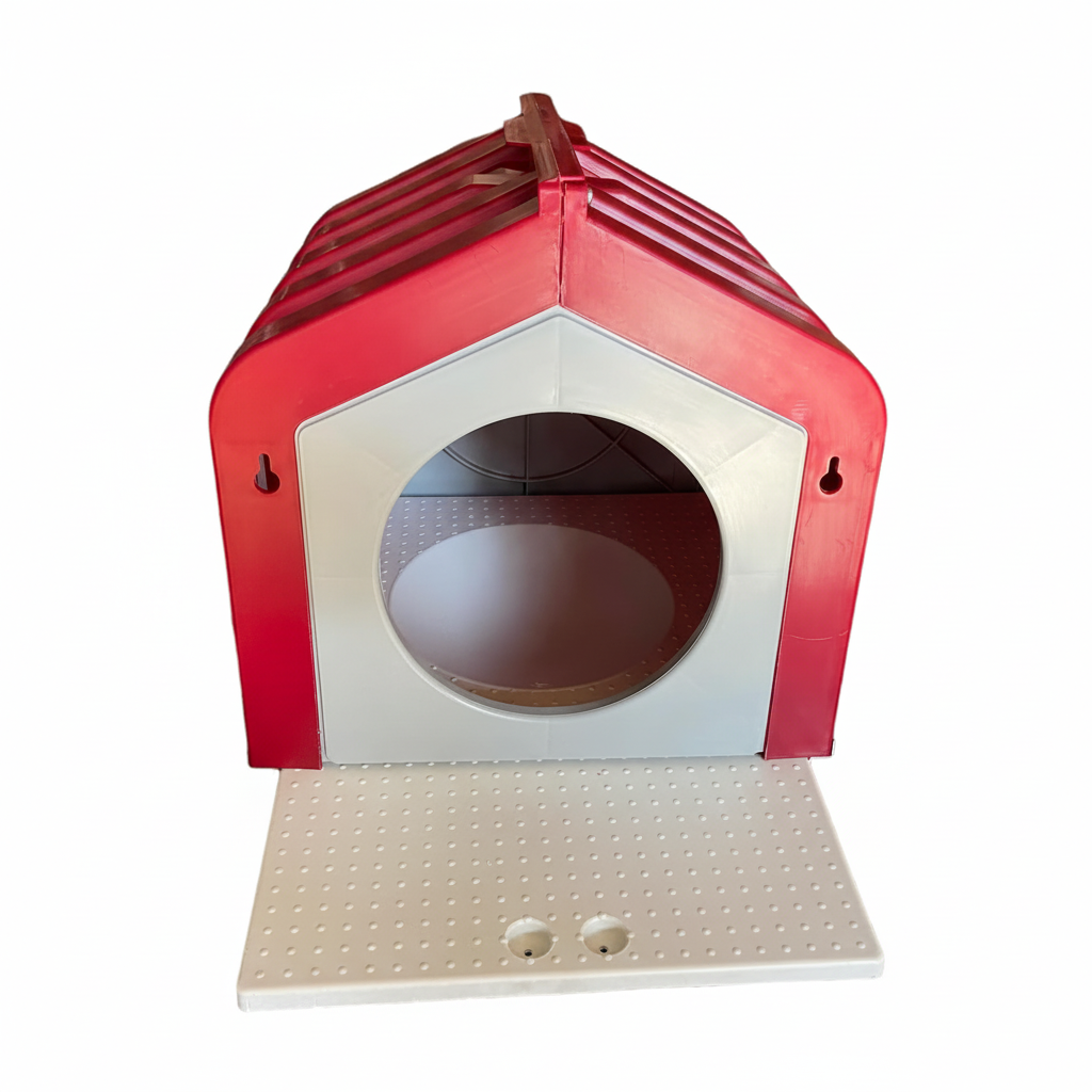 Colombaia - immagine 4