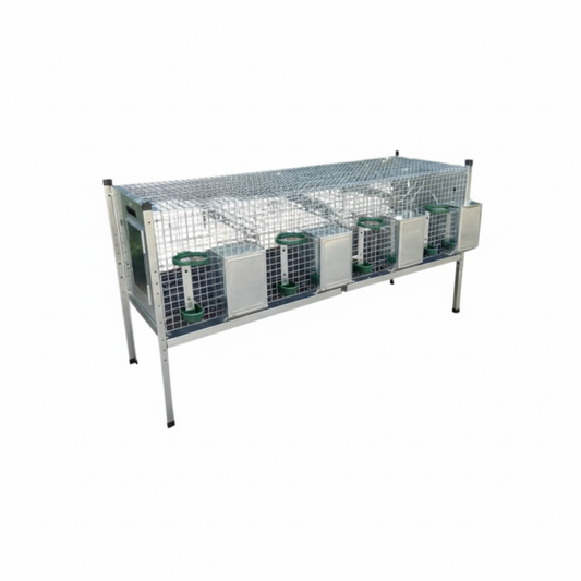 CONIAZAEL1 - Immagine 2