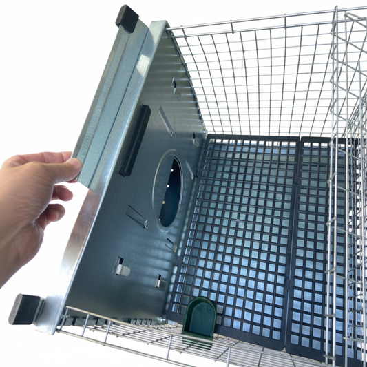 CONIAZAEL1 - Immagine 3