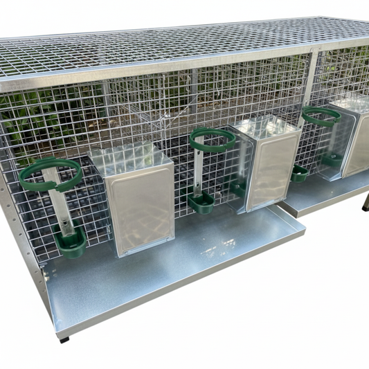 CONIAZAEL1 - Immagine 4