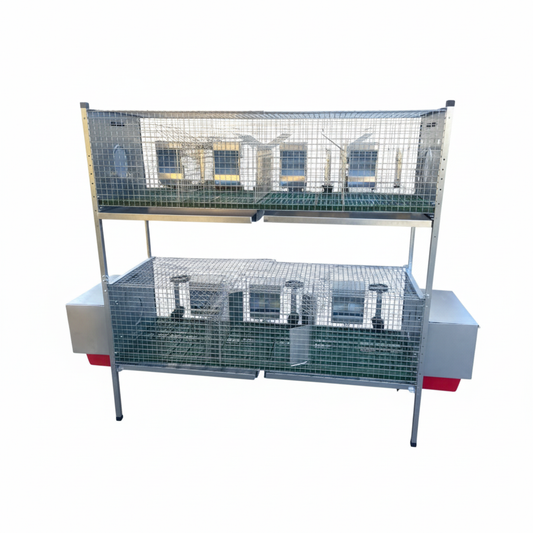 CONIAZAEL1 - Immagine 6