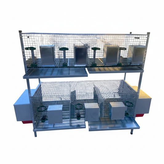 CONIAZAEL1 - Immagine 7