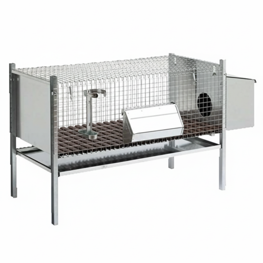 Conigliera 1 Fattrice - Immagine 3