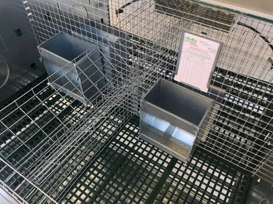 Gabbia Conigliera Alba Per 4 Fattrici