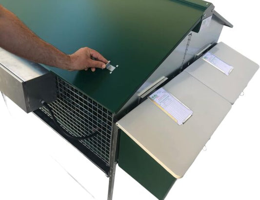 Gabbia Conigliera Alba Per 4 Fattrici