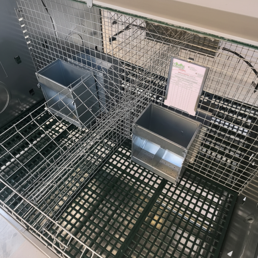 Conigliera Alba - Immagine 5