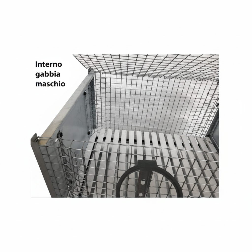 Conigliera Venere - Immagine 5