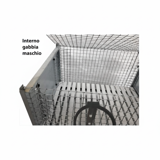 Conigliera Venere - Immagine 5