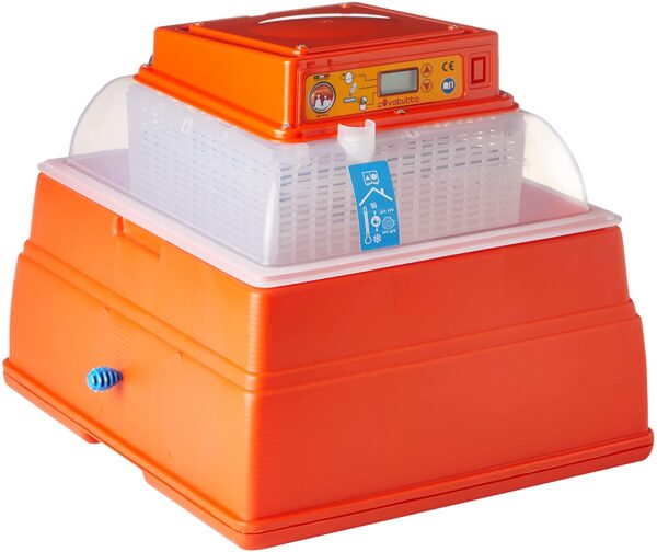 Incubatrice Covatutto 24 Digitale