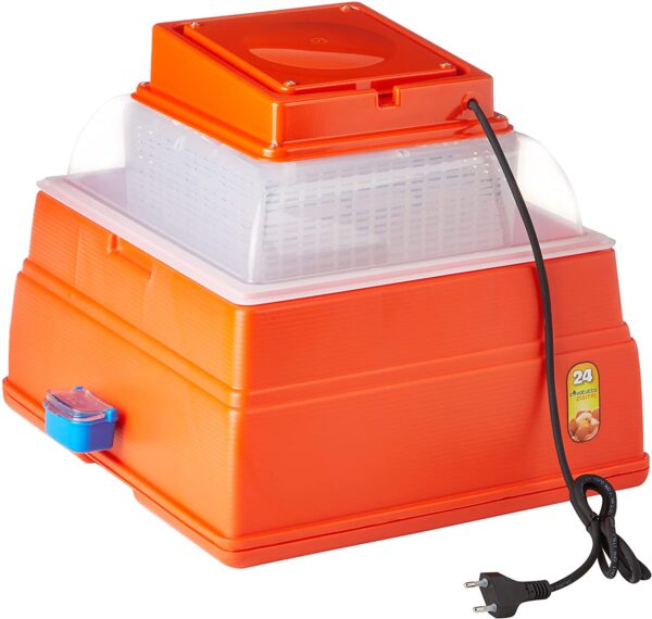 Incubatrice Covatutto 24 Digitale