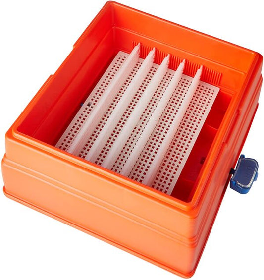 Incubatrice Covatutto 24 Digitale Automatica