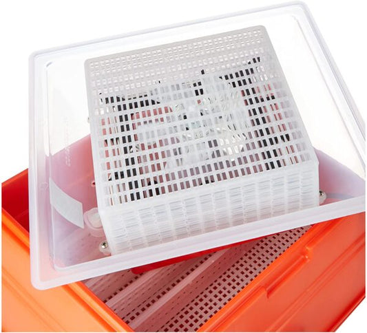 Incubatrice Covatutto 24 Digitale Automatica