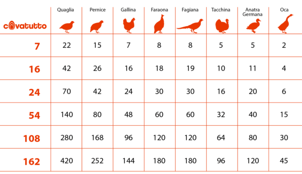 Incubatrice Covatutto 54 Digitale Automatica