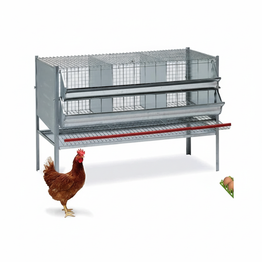 Gabbia 3 Posti - Immagine 2