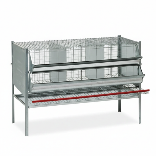 Gabbia 3 Posti - Immagine 3