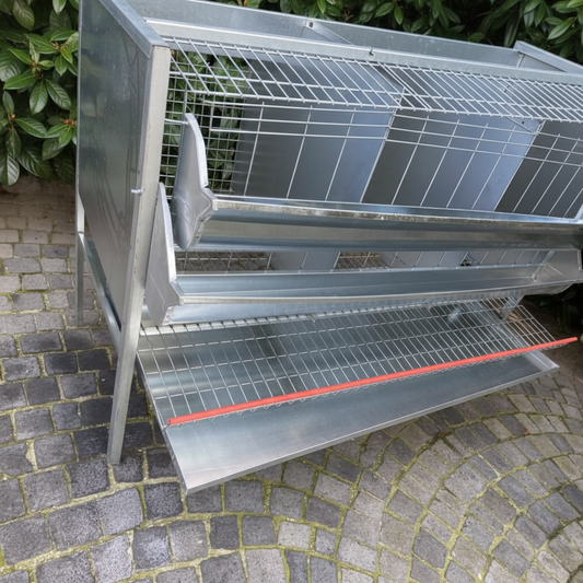 Gabbia 3 Posti - Immagine 4