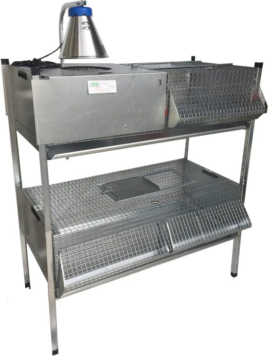 Gabbia Riscaldata Allevatrice + Gabbia Svezzamento per Pulcini/Quaglie