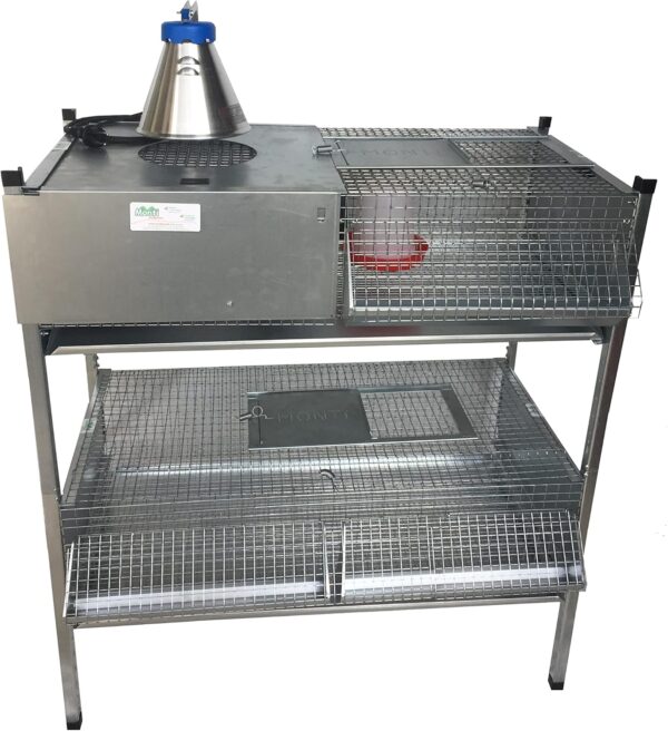 Gabbia Riscaldata Allevatrice + Gabbia Svezzamento per Pulcini/Quaglie