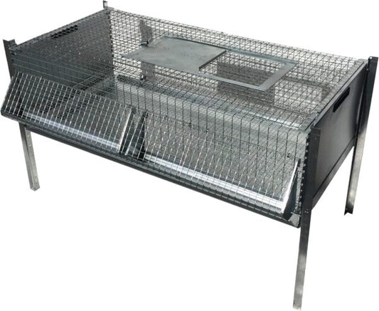 Gabbia Riscaldata Allevatrice + Gabbia Svezzamento per Pulcini/Quaglie