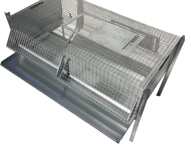 Gabbia Riscaldata Allevatrice + Gabbia Svezzamento per Pulcini/Quaglie