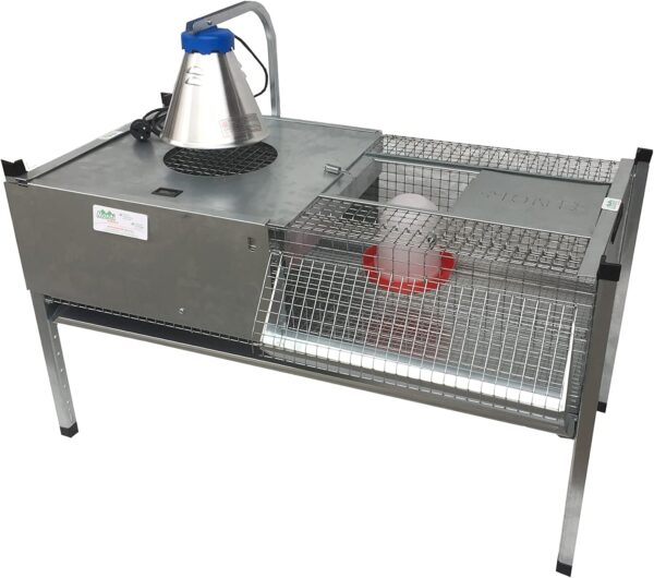 Gabbia Riscaldata Allevatrice + Gabbia Svezzamento per Pulcini/Quaglie