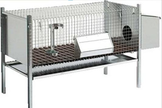 Gabbia Conigli Conigliera 1 Fattrice