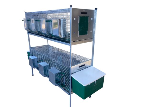 Gabbia Conigliera per Conigli Alvin