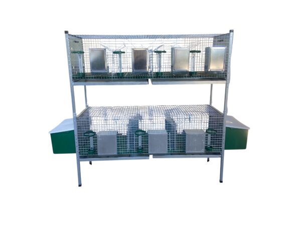 Gabbia Conigliera per Conigli Alvin