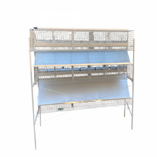 Gabbia conigli - Immagine 2 quadrata