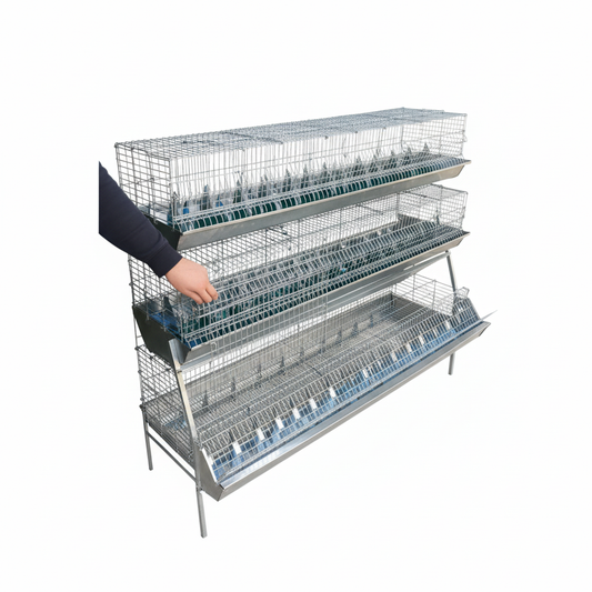 Gabbia conigli - Immagine 4 quadrata