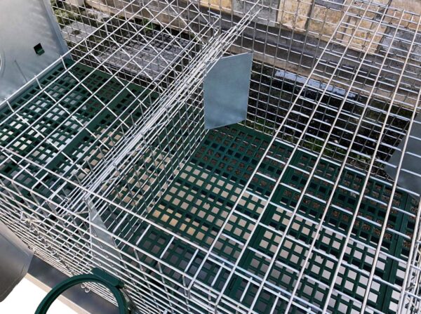 Gabbia Conigliera Plura 3 posti