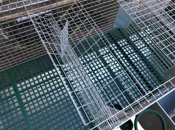 Gabbia Conigliera Plura 3 posti