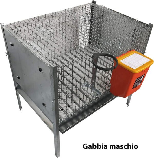 Gabbia Conigli Conigliera Venere