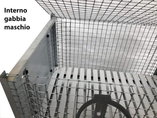 Gabbia Conigli Conigliera Venere