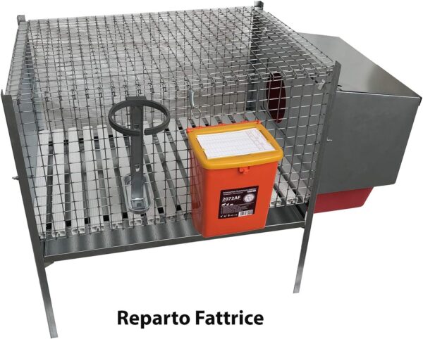 Gabbia Conigli Conigliera Venere