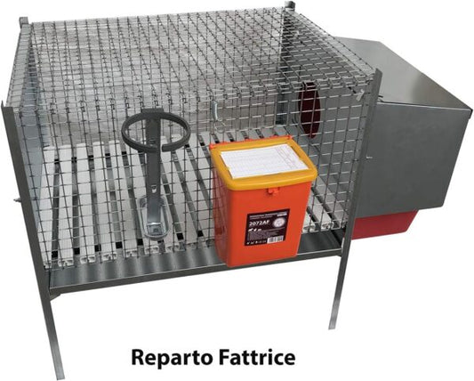 Gabbia Conigli Conigliera Venere