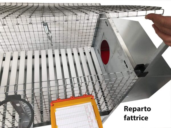 Gabbia Conigli Conigliera Venere