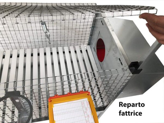 Gabbia Conigli Conigliera Venere