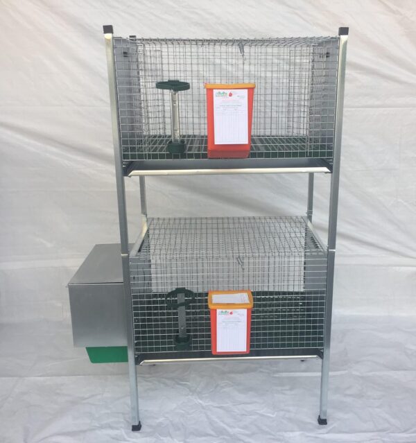 Gabbia Conigli Conigliera Venere