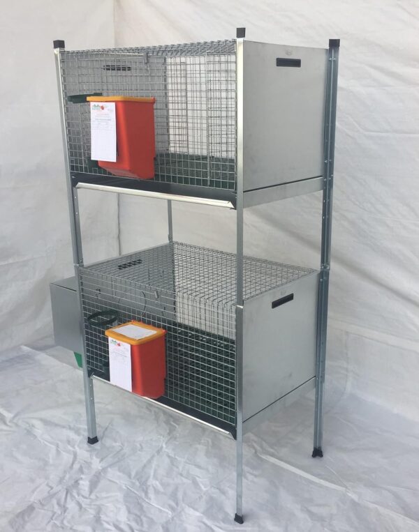 Gabbia Conigli Conigliera Venere