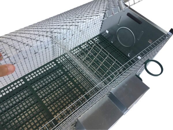 Gabbia Conigli Amalfi 2 Fattrici