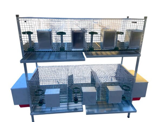 Gabbia Conigliera per Conigli Azael