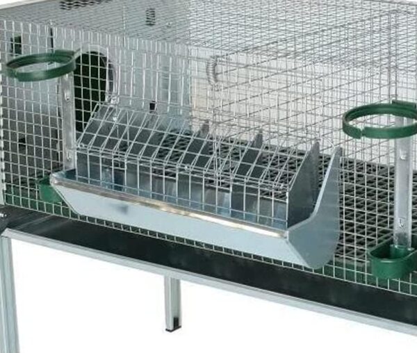 Gabbia Conigliera Eko