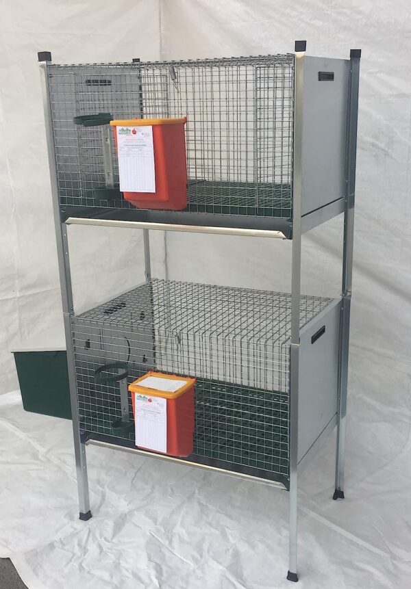 Gabbia Conigli Conigliera Iside