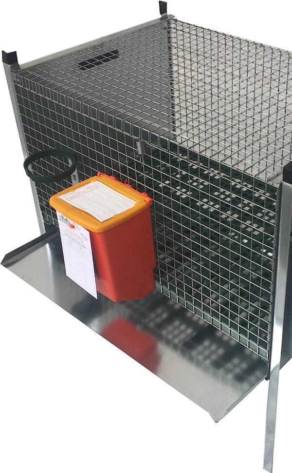 Gabbia Conigli Conigliera Iside